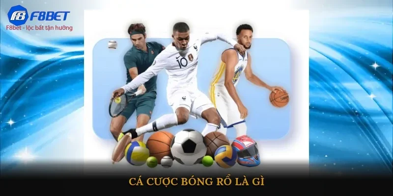 Cá cược bóng rổ là gì?